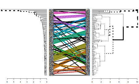 Hierarchical Clustering