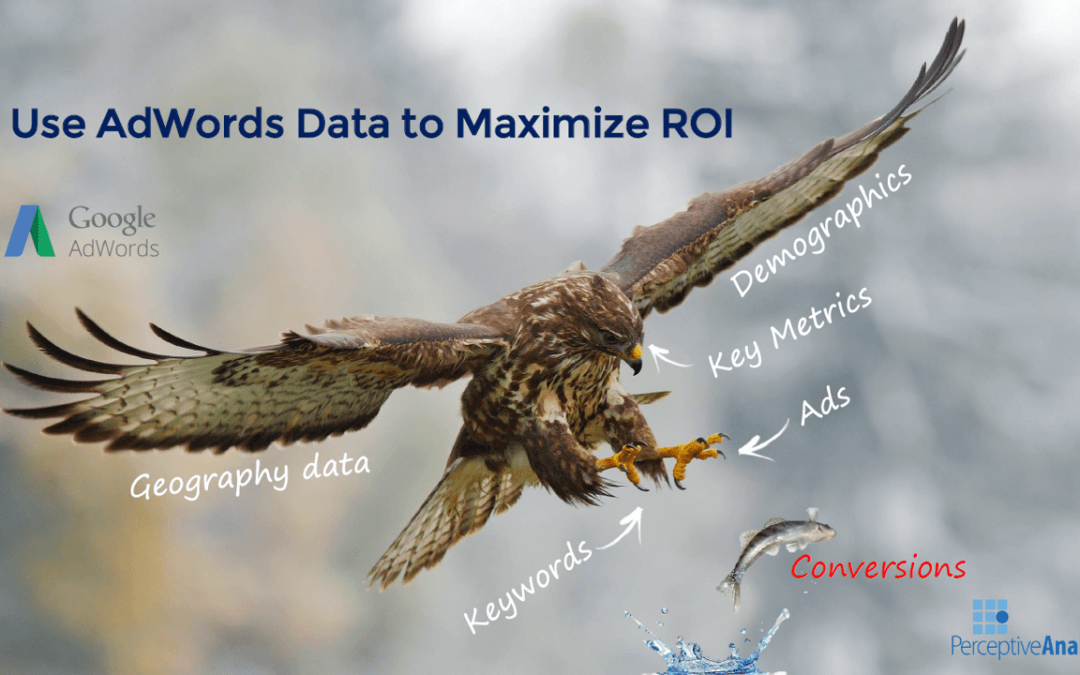 Use AdWords Data to Maximize ROI