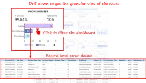 Data Quality Monitoring