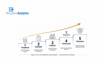 Commercial Analytics Maturity: The 5 Levels Explained